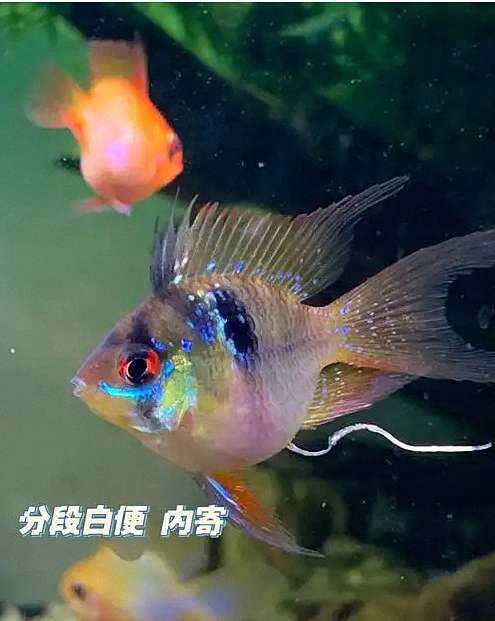 25479_z0mi_3372.jpg