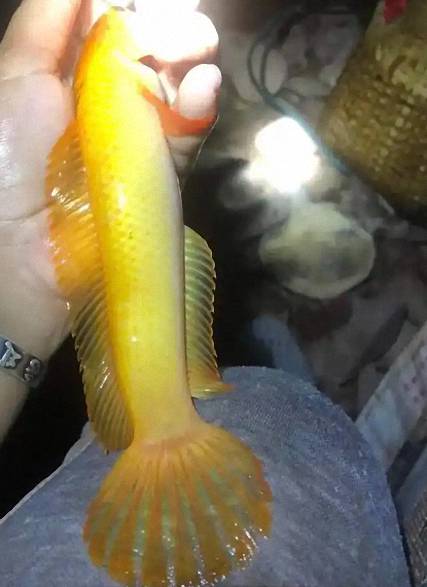 3 (已调整大小).jpg