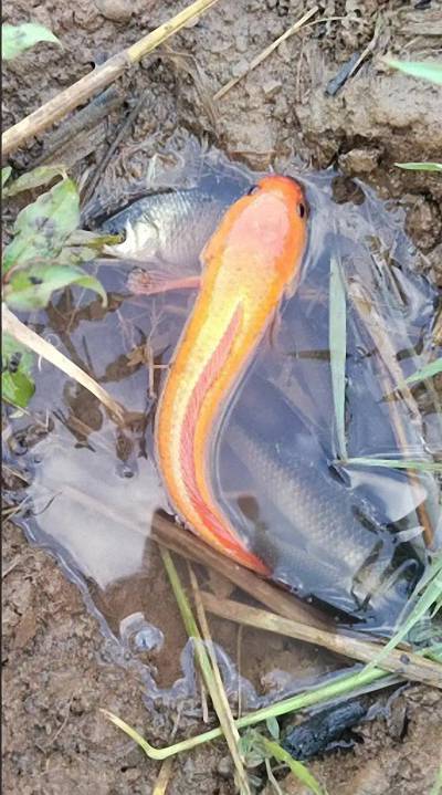 ScreenShot_2025-11-06_143133_031 (已调整大小).jpg