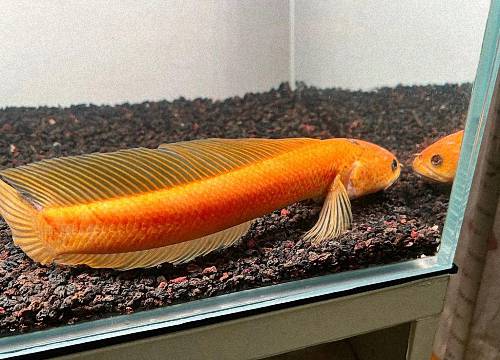 2 (已调整大小).jpg