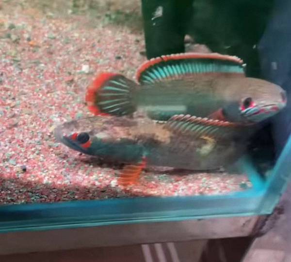 微信图片_20251112160434_70_501 (已调整大小).jpg