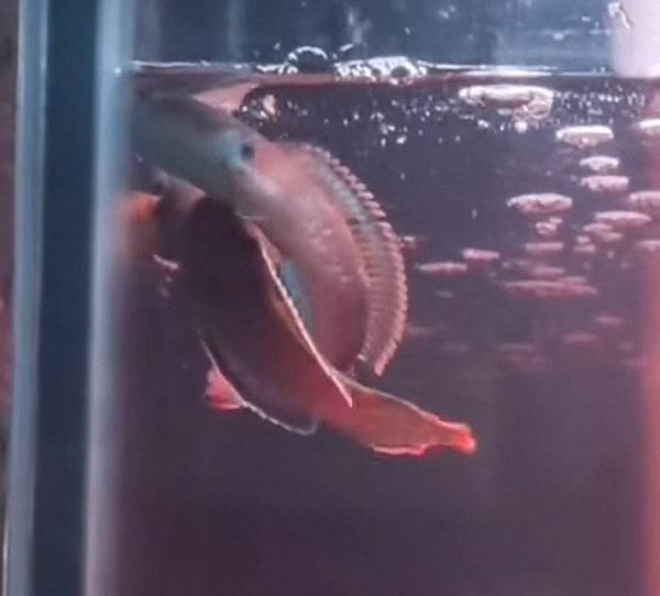 微信图片_20251112160435_71_501 (已调整大小).jpg