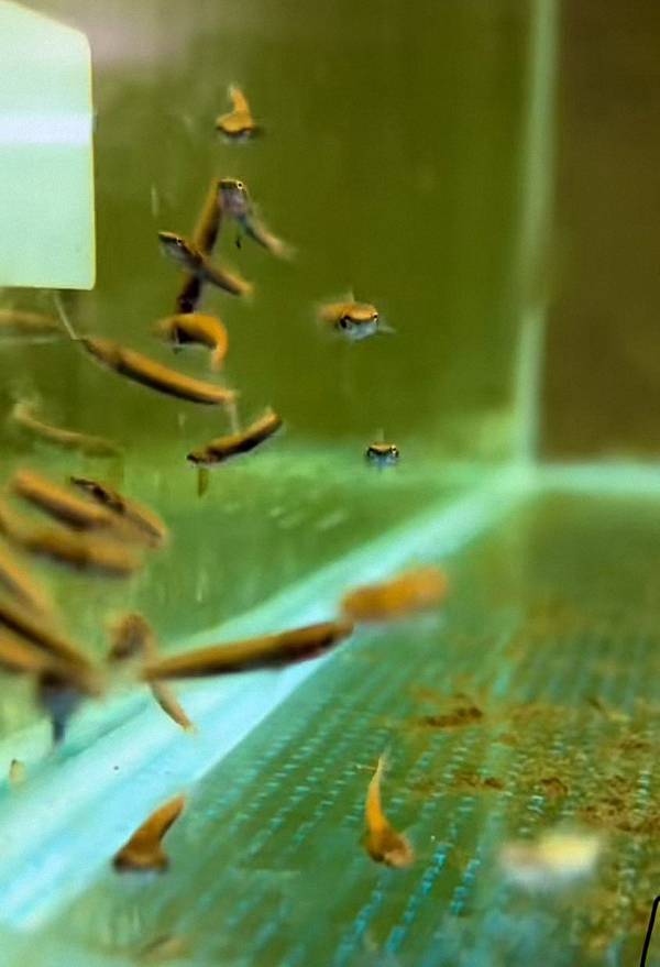 微信图片_20251112160437_73_501 (已调整大小).jpg