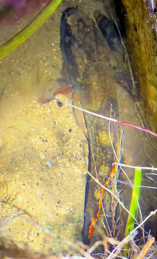 微信图片_20251112160436_72_501 (已调整大小).jpg