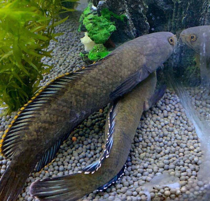 1c283ea8bc74cc39 (已调整大小).jpg