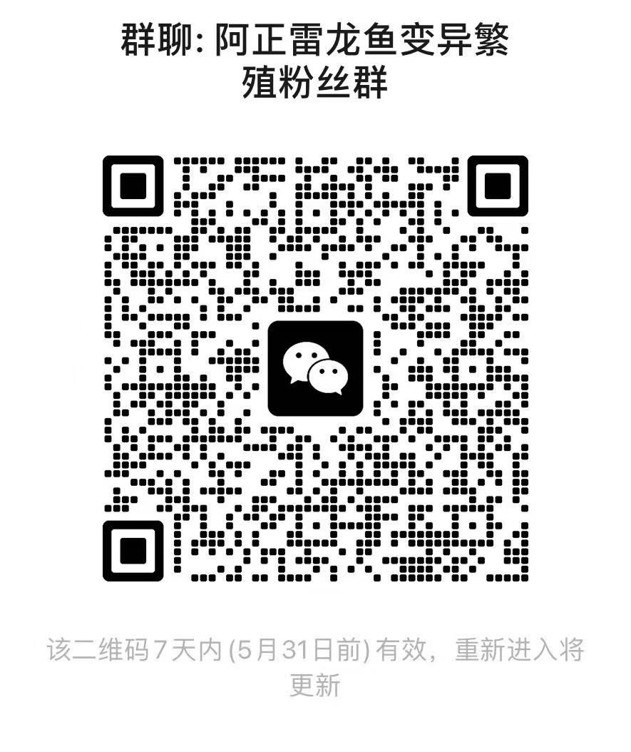 38637_mue4_4427.jpg